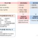 갑자기 얻은 다낭성 난소증후군과 무월경으로 돌주사 맞고온 후기
