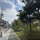 [공지] [영등포/보라매역] 속눈썹 펌 잘하는 ‘스튜디오 하놀’☁️솔직 후기☁️