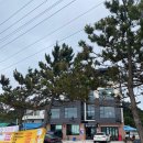 품바노래연습장 | [삼척펜션] 통유리오션뷰펜션_신축/가성비펜션/모든룸오션뷰/바베큐/용화해변/품바/가격