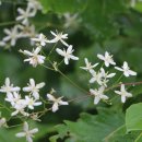 더 남산 이미지