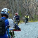 금호강변로 이미지