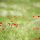 유성식당 이미지