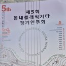클래식 정기합주 이미지