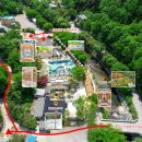 일랑일랑 스테이 이미지