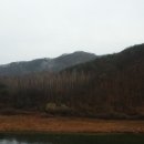 홍천강그린팬션 이미지