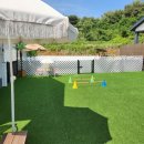 홀리독풀빌라 이미지