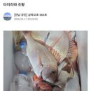 삼육오호