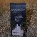 아라애견 이미지