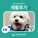 웰케어 동물건강검진센터·동물한방재활센터 이미지