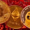 원선1로2 이미지