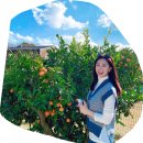 소풍농장 이미지