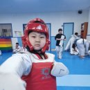 하랑태권도 이미지