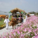 지평선목장 이미지