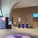 삶을 돌아보는 낭독연극 | 연극 타지마할의 근위병 후기 :: 이승주 최재림 251123 @LG아트센터 서울 U+ 스테이지 시야