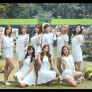 네이처컬렉션 이미지