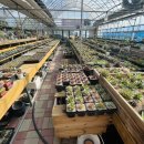 인수다육 이미지