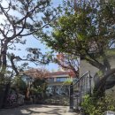 아트리움 | [인천] 연수구 전시회 구경 가능한 이색카페 아트리움 방문 후기