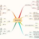 알쓸신잡 1 마인드맵_김다성 이미지