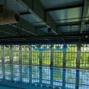 원동초스포츠센터 수영장 이미지