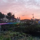 미니 쇠소깍 이미지