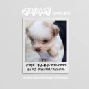 2022-00001 네이버블로그