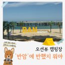 강원오토 | 초가을, 낭만 가득한 강원 고성 오션뷰 캠핑 “반암오토캠핑장” 후기, 애견동반 가능 캠핑장이에요!