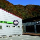 아리랑브루어리 매일경제