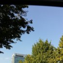 조달청사약국 이미지