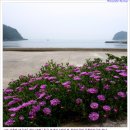 대봉장횟집 이미지