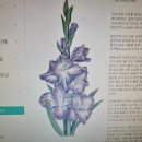 [가톨릭 교리] 중독과 자유 이미지