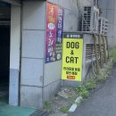 회원동118 | 마산 강아지 간식파는곳 회원펫샵 내돈내산 리얼후기
