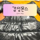 데일리도그 | 강아지패딩 고민 끝, 가볍고 따뜻한 도그페이스 경량 패딩조끼 후기