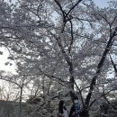[강릉여행/동해여행] 강원도로 떠난 2박 3일간의 신혼여행② - 2일차 강릉~동해