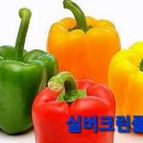 (주)리컴퍼니