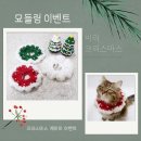 묘들링(Meowdeling)