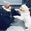 별이 이미지