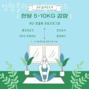 정왕플라잉필라테스 | 정왕동필라테스 정왕플라잉&필라테스 위치.가격.시간.후기