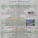 디바농장 | 설 연휴에 떠난 하나투어 방콕 파타야 패키지 내돈내산 후기(feat. 가격, 선택관광, 패키지 비교)