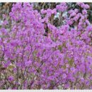 성주봉산방 이미지