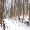 자락길 옹달샘 이미지