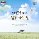 홍천동키마을 네이버블로그