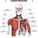 호갱탈출 이미지