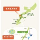 [일본-오키나와] 류큐민속촌 ‘류큐무라’, 이국적인 ‘동남식물낙원’