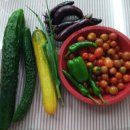 화실농장 이미지