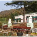 영평초등학교 이미지