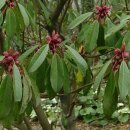 송정섭농장 이미지