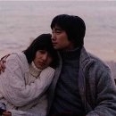 국화꽃향기 이미지