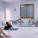 묵타요가 | 🧘‍♀️요가하러 매년 제주에 가는 사람🍊🍃