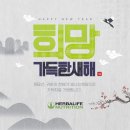 다짐점핑&온열다이어트