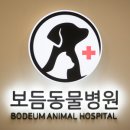 조은동물병원 이미지